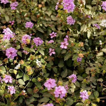 דירה Apartamento Torremolinos