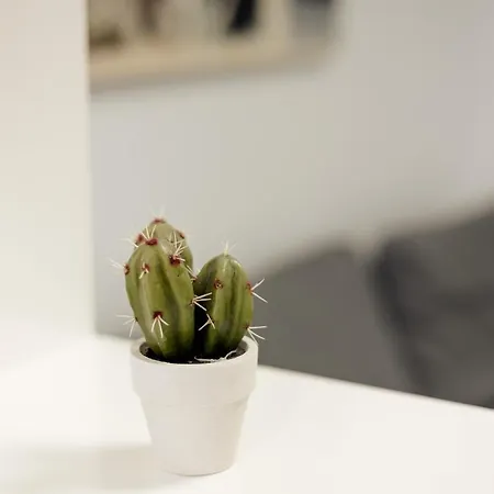 Lägenhet Apartamento Torremolinos