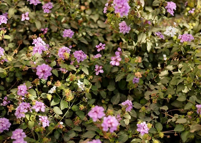 Appartamento Apartamento Torremolinos